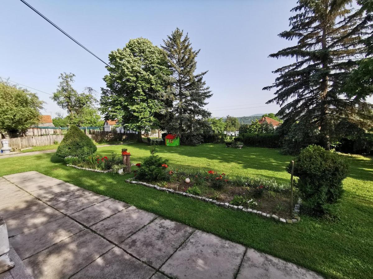 Apartments Domacinstvo Nikolic Валево Экстерьер фото