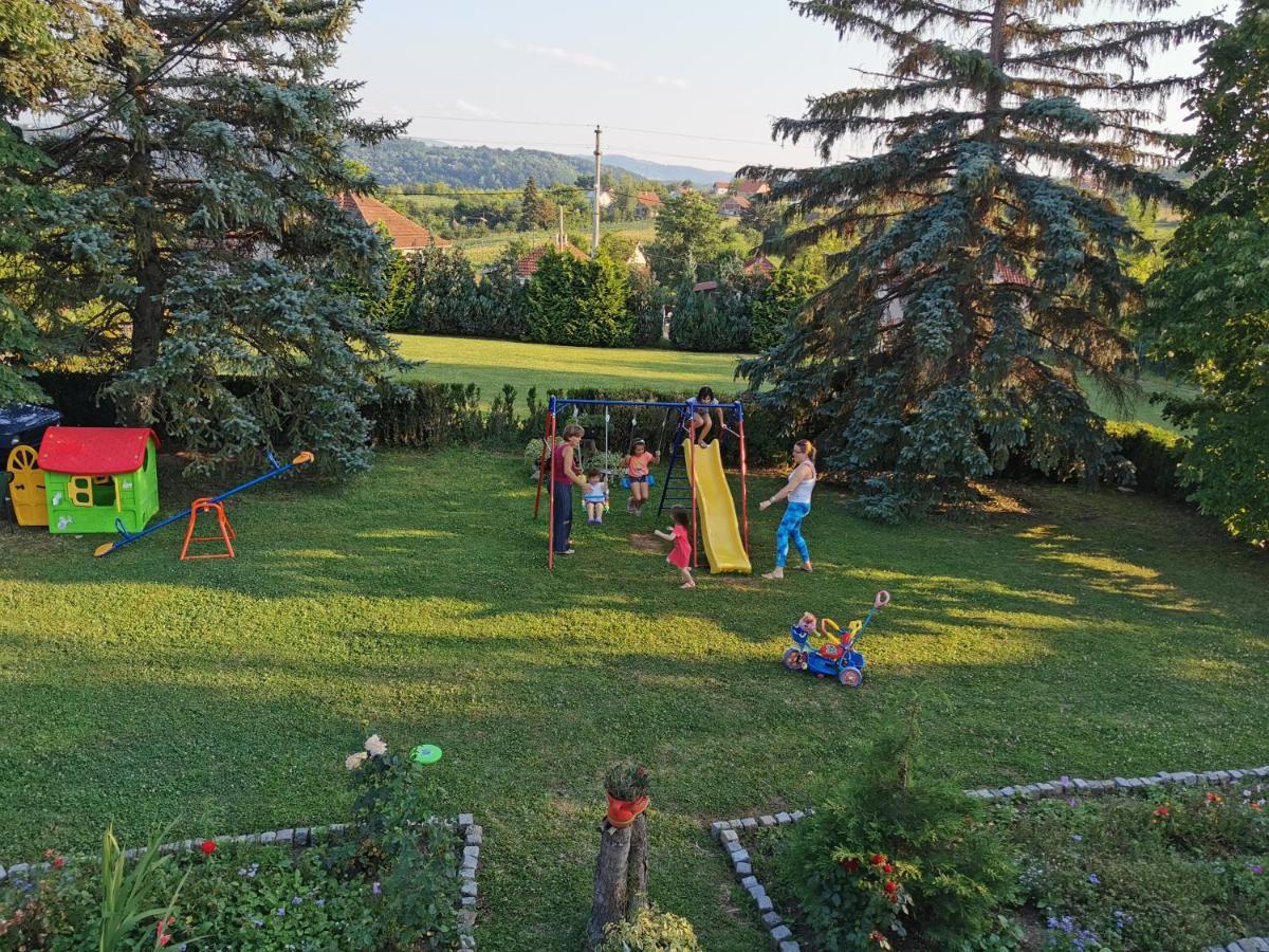 Apartments Domacinstvo Nikolic Валево Экстерьер фото