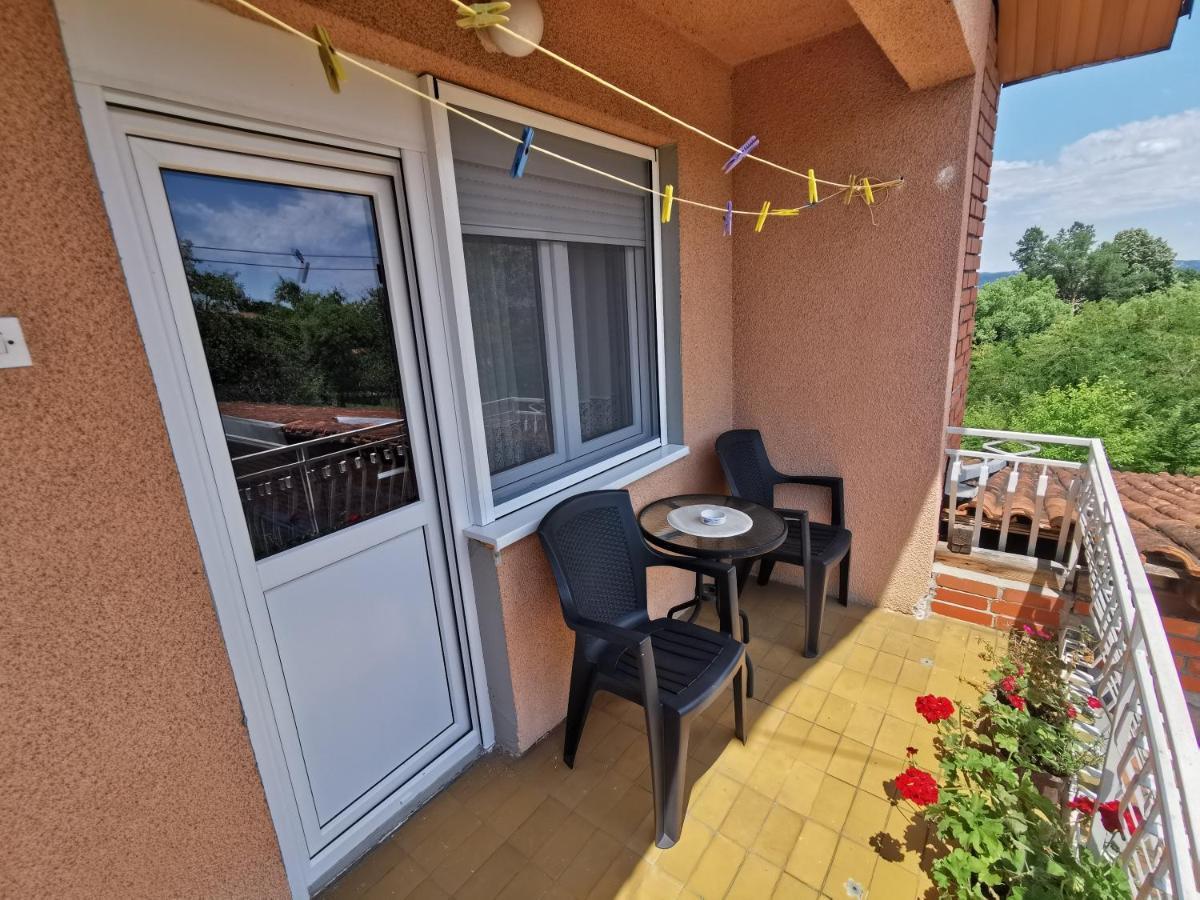 Apartments Domacinstvo Nikolic Валево Экстерьер фото
